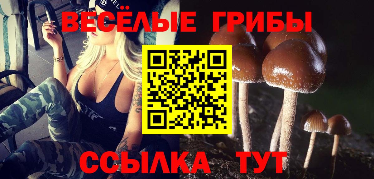 Спасск-Дальний  Галлюциногенные грибы Cubensis  Псилоцибиновые грибы GOLDEN TEACHER  Вход с VPN 