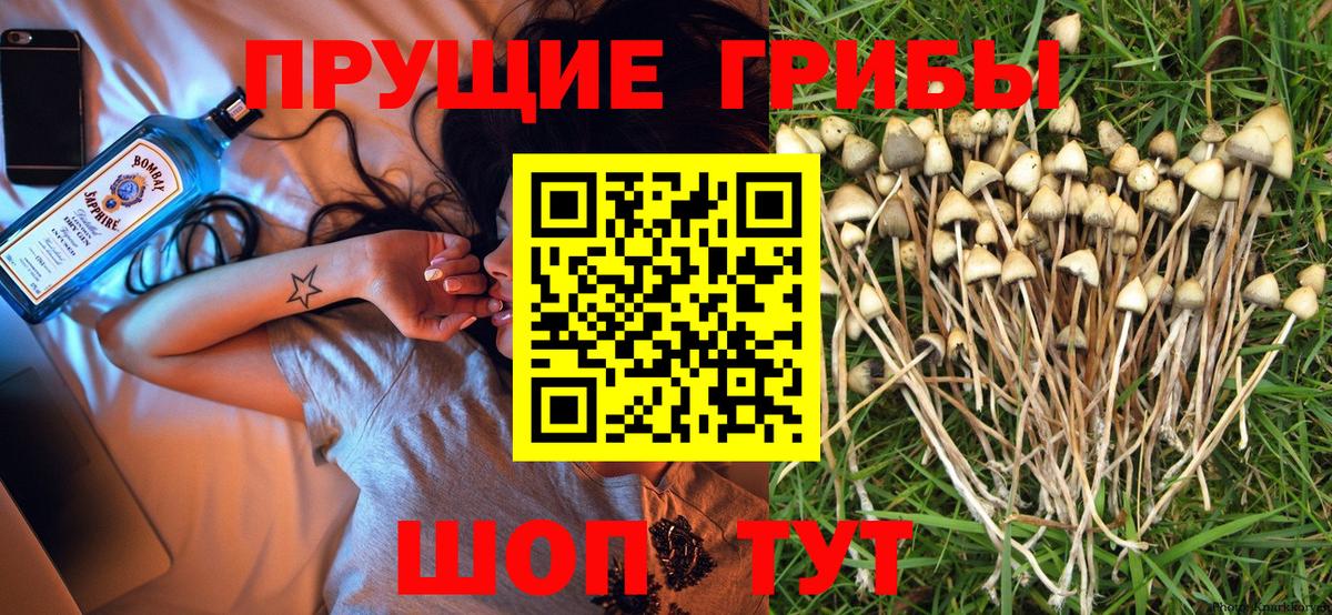 Галлюциногенные грибы Cubensis Спасск-Дальний