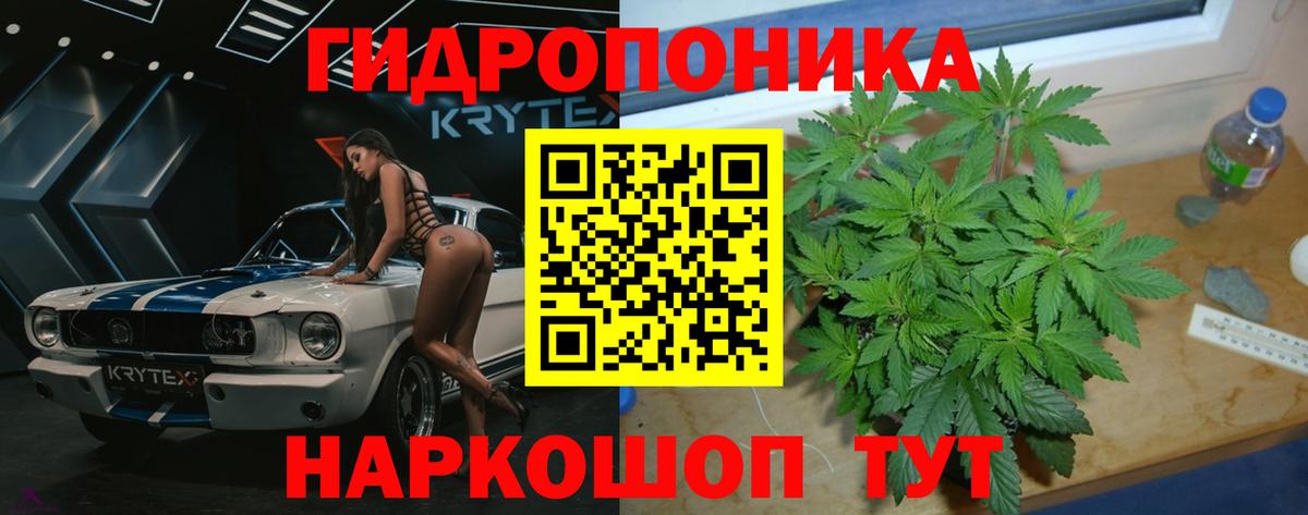 Каннабис конопля Спасск-Дальний